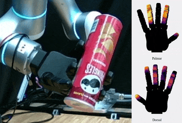 Real-time force regulation for whole-hand dexterous grasping